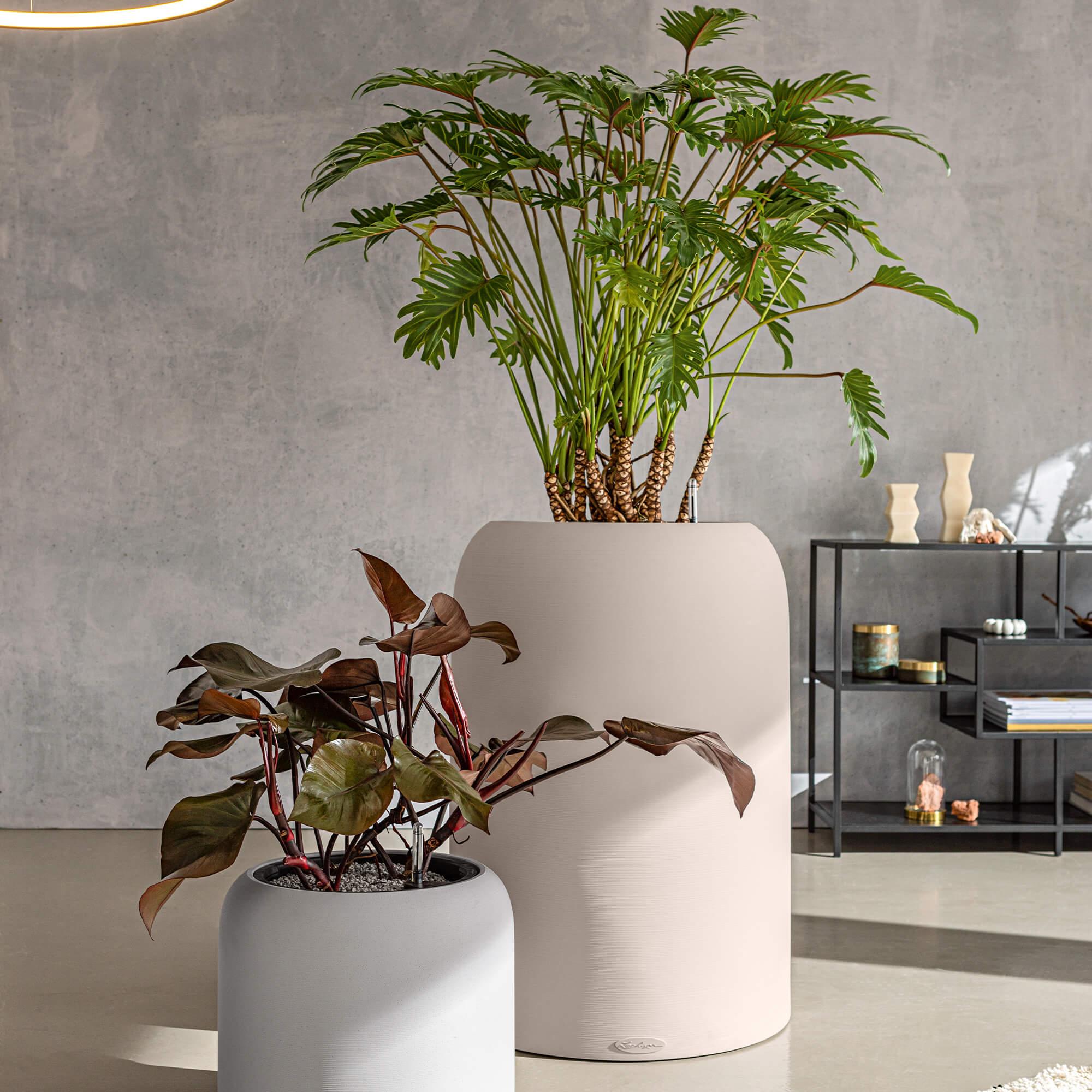 le_havalo_product_addi_02
